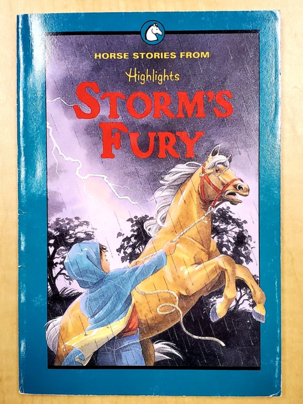 Storm's Fury : And Other Horse Stories by Highlights Children (1992)
